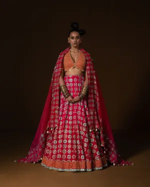 ANARDANA LEHNGA