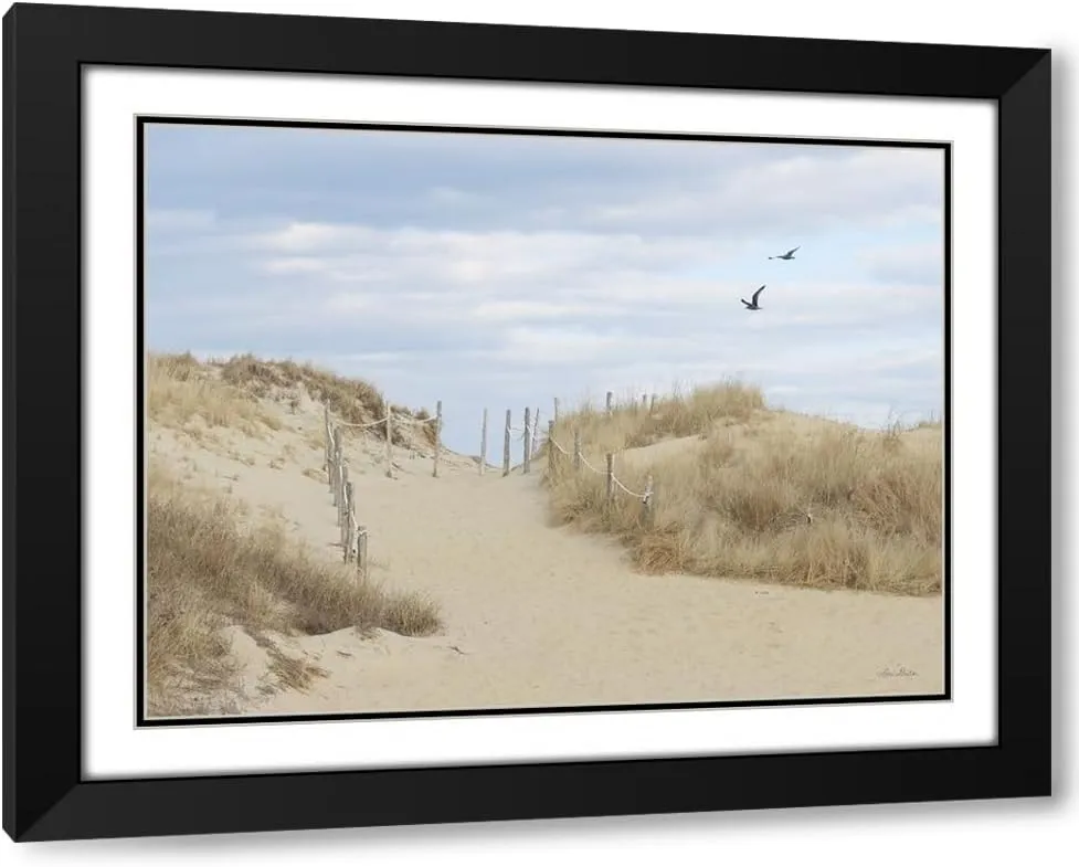 ArtDirect Fenwick Island 24x19 Black Modern Wood Framed with Double Matting Museum Art Print by Deiter, Lori