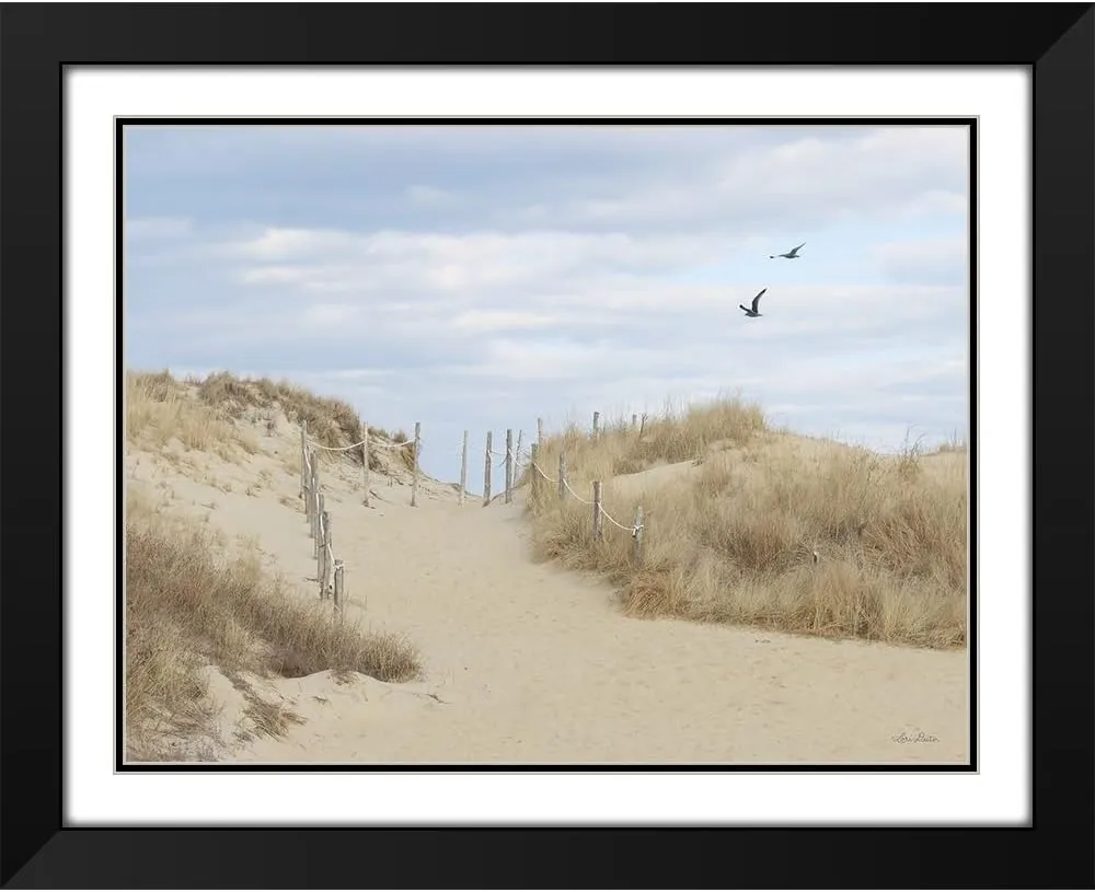 ArtDirect Fenwick Island 24x19 Black Modern Wood Framed with Double Matting Museum Art Print by Deiter, Lori