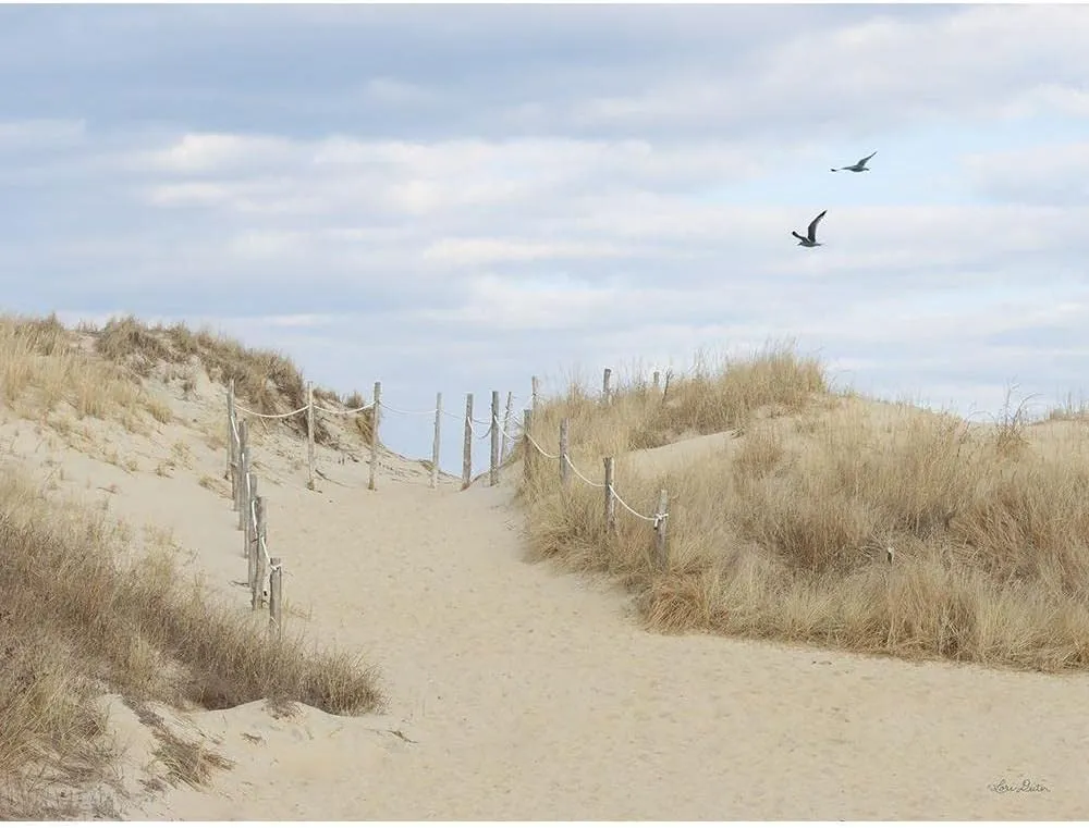 ArtDirect Fenwick Island 24x19 Black Modern Wood Framed with Double Matting Museum Art Print by Deiter, Lori