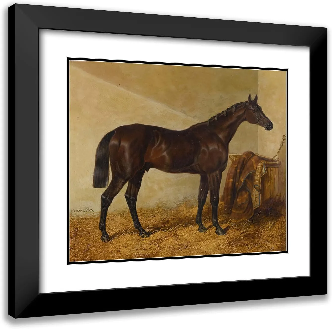 ArtDirect John Frederick Herring Snr. 17x15 Black Modern Frame and Double Matted Museum Art Print Titled - Charles Xii, Winner of the St. Leger and Gold Cup, Doncaster (1839)