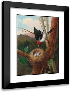 ArtDirect Michelangelo Meucci 19x24 Black Modern Frame and Double Matted Museum Art Print Titled - Bird with His Nest