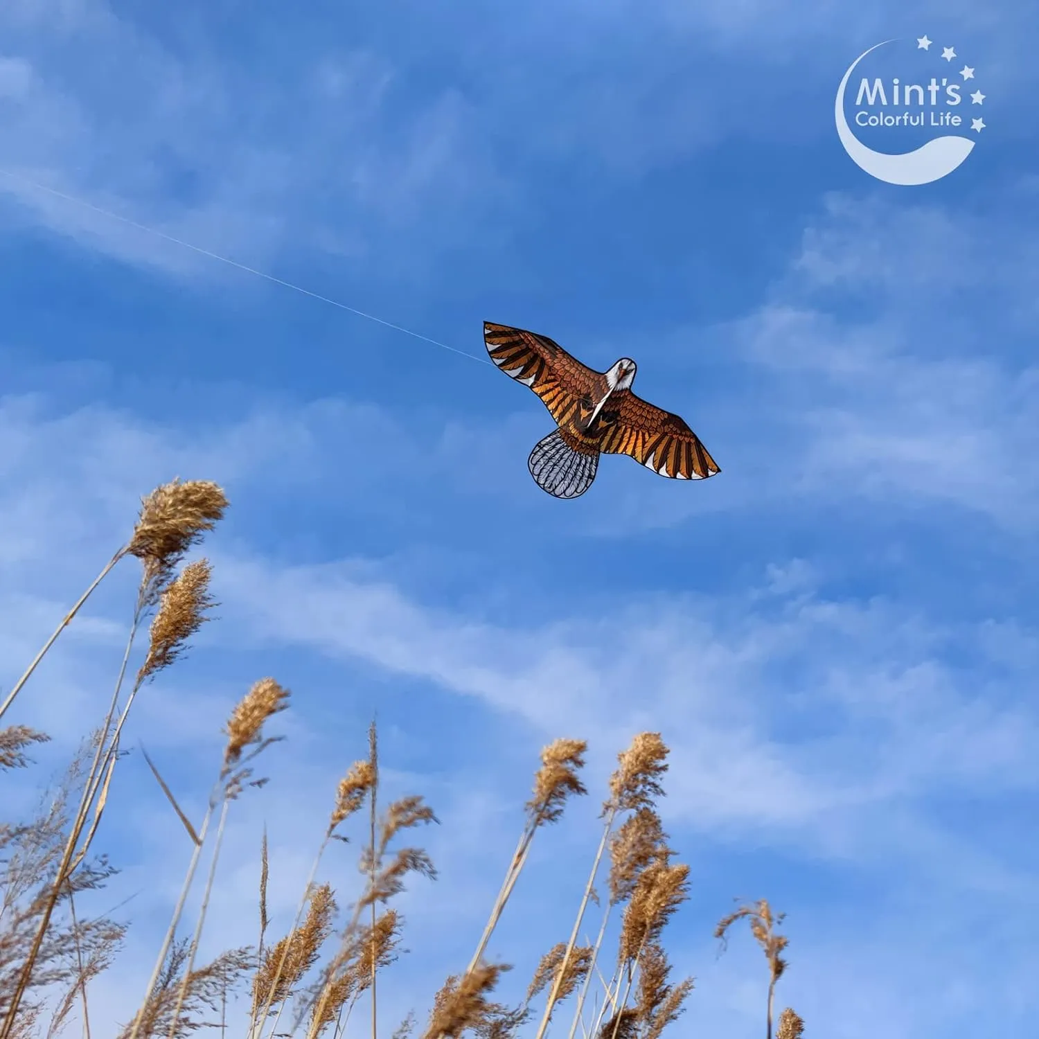 Bald Eagle Kite for Adults and Kids, Huge Kites Easy to Fly Single Line Kite for Beach Trip