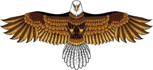 Bald Eagle Kite for Adults and Kids, Huge Kites Easy to Fly Single Line Kite for Beach Trip