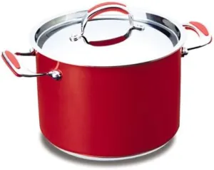 Circulon CC-W24RD Circulon Stainless Steel Double Handed Pot, 9.4 inches (24 cm), Red
