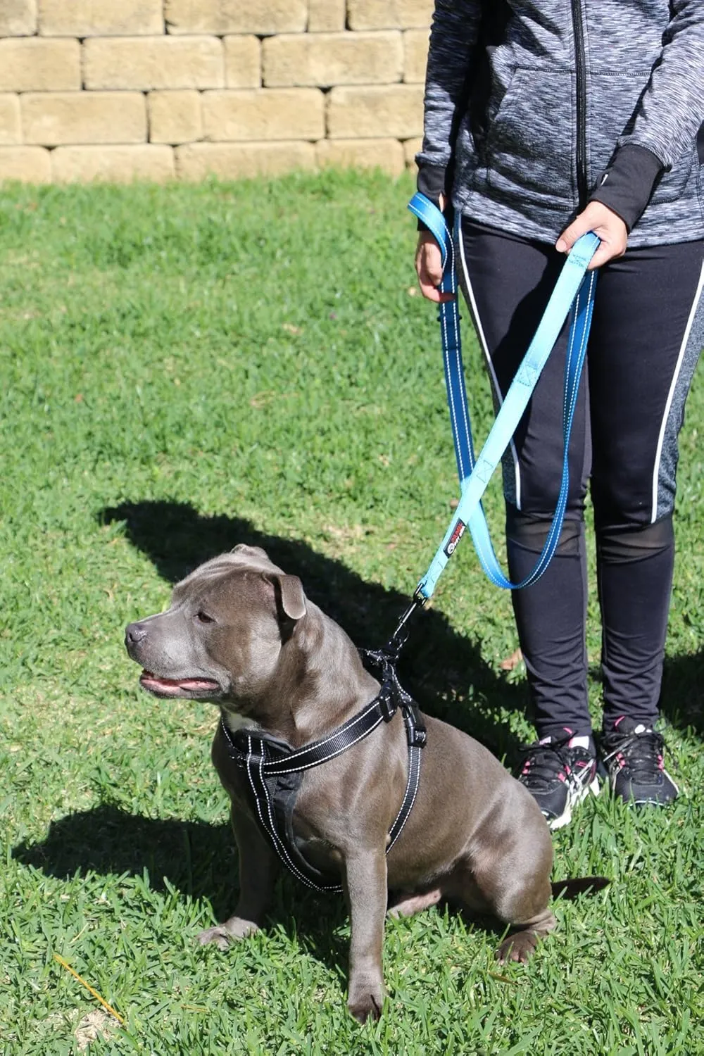 Dog Leash 8ft Long - Blue - Traffic Padded Two Handle - Heavy Duty - Double Handles Lead for Control Safety Training - Leashes for Large Dogs or Medium Dogs - Dual Handles Leads