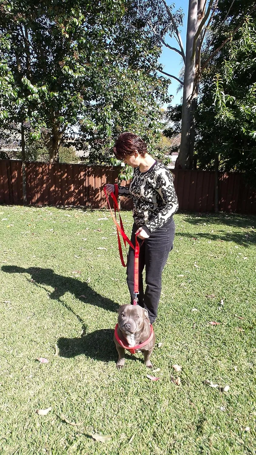 Dog Leash 8ft Long - RED - Traffic Padded Two Handle - Heavy Duty - Double Handles Lead for Control Safety Training - Leashes for Large Dogs or Medium Dogs - Dual Handles Leads