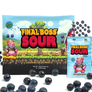 Final Boss Sour Candy, Extremely Super Sour Gummy Candy, Natural Chewy Blueberry Gummies Made with Dried Fruit, Free of Artificial Colors, Low Calorie Healthy Snack for Kids & Adults, (1.06 Ounce Bags, Pack of 10 Bags) (LvL 1 Sourness)