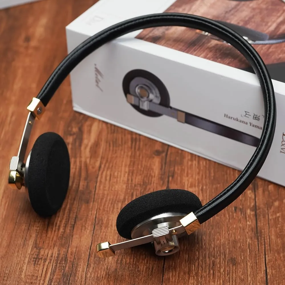 HiFiGo ROSESELSA Distant Mountain 40mm Diaphragm Driver Headphone, Lightweight Retro Over-Ear Headphones with Sponge Earpads and MMCX Connectors (Black, with RZ220M)