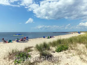 Historic Pictoric Photo- Beaches and Sand Dunes Along The Jersey Shore in Cape May, New Jersey 4 Fine Art Photo Reproduction 14in x 11in