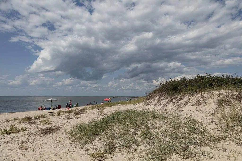 Historic Pictoric Photo- Beaches and Sand Dunes in Cape May, New Jersey 2 Fine Art Photo Reproduction 12in x 08in