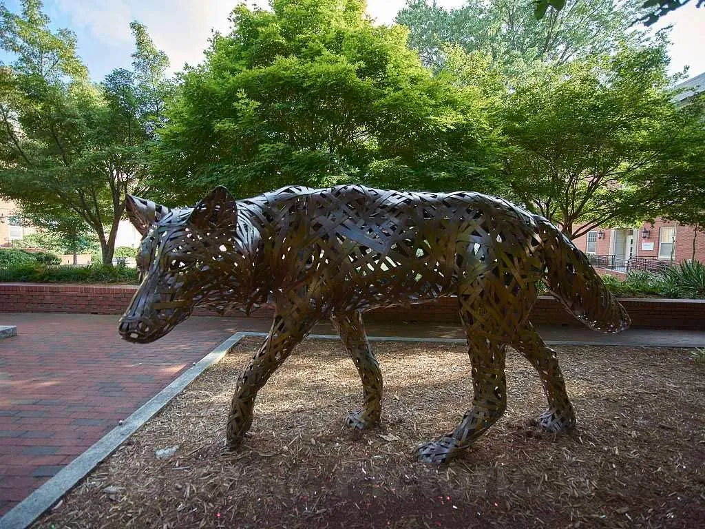 Historic Pictoric Photo- One of a Group of Wolf Sculptures at North Carolina State University in Raleigh, The Capital City of North Carolina 1 Fine Art Photo Reproduction 14in x 11in