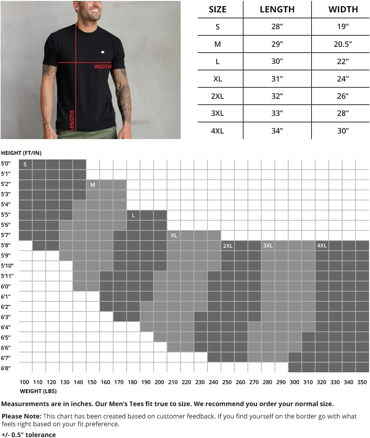 INTO THE AM Men's Graphic Tees S - 4XL Cool Lightweight Fitted Printed Design T-Shirts Nature