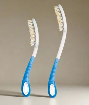 Long Handled Brush