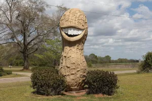 Photo - A grinning peanut is one of many symbols of the legume to be found in former U.S. president Jimmy Carter's hometown of Plains, Georgia- Fine Art Photo Reporduction 12in x 08in