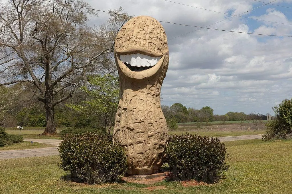 Photo - A grinning peanut is one of many symbols of the legume to be found in former U.S. president Jimmy Carter's hometown of Plains, Georgia- Fine Art Photo Reporduction 12in x 08in