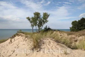 Photo- Scene at Indiana Dunes State Park, encompassing 2,182 acres of beaches, sand dunes, and marshes along Lake Michigan in Porter County, Indiana 1 Fine Art Photo Reproduction 12in x 08in