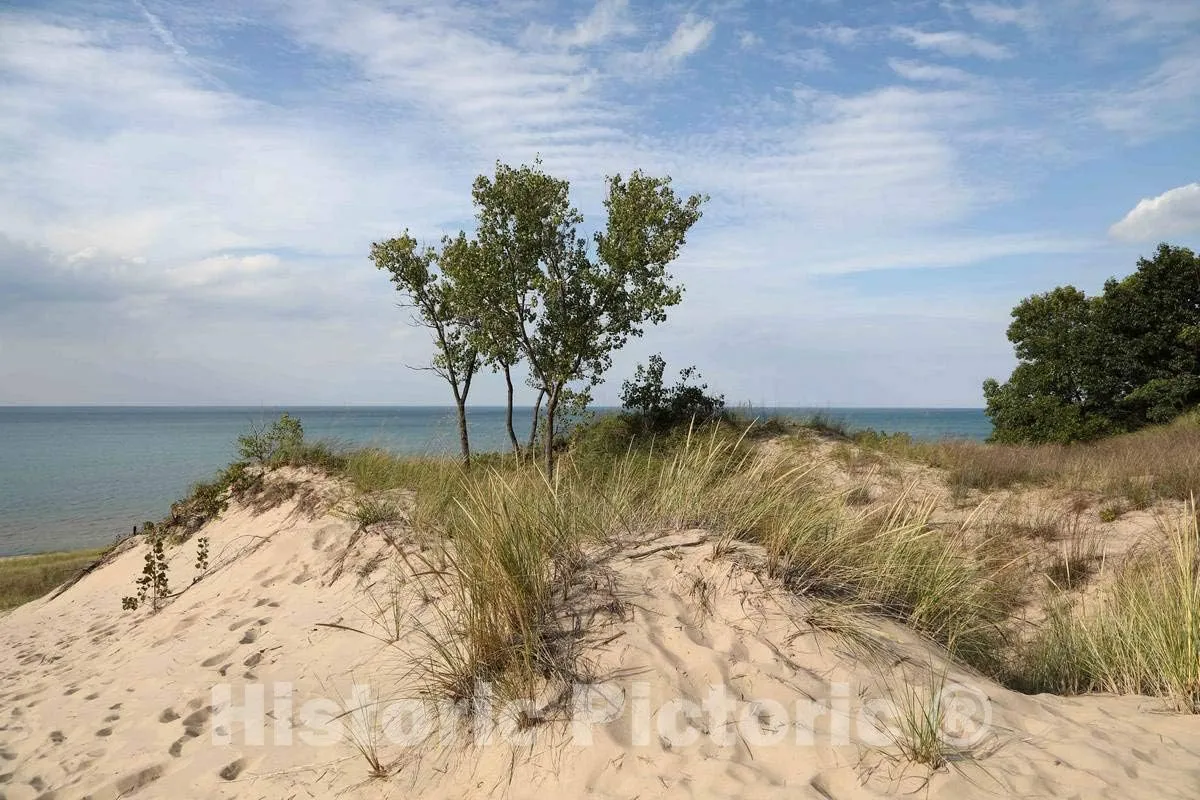 Photo- Scene at Indiana Dunes State Park, encompassing 2,182 acres of beaches, sand dunes, and marshes along Lake Michigan in Porter County, Indiana 1 Fine Art Photo Reproduction 12in x 08in