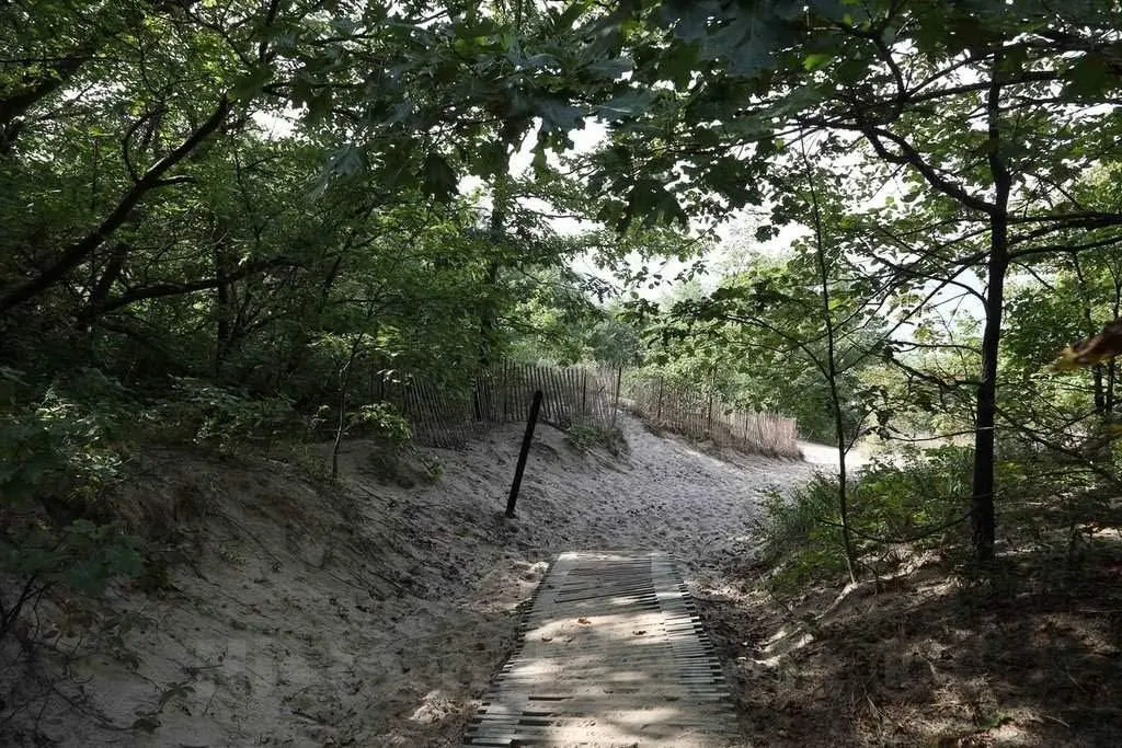 Photo- The last few feet of the path from high, wooded campsites down to the dunes at Indiana Dunes State Park, encompassing 2,182 acres of beaches, sand dunes 3 Fine Art Photo 24in x 16in