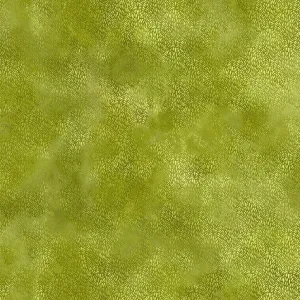 Prism Grass in Green