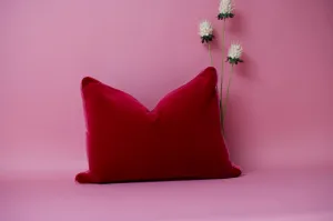 Red Velvet Pillow with Pink Piping