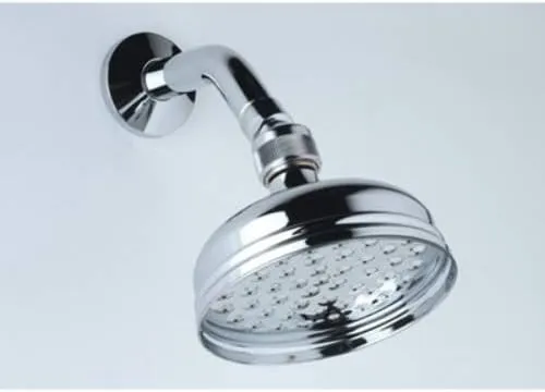 Rohl B2160/1PN Bossini Cloudburst Showerhead, Polished Nickel