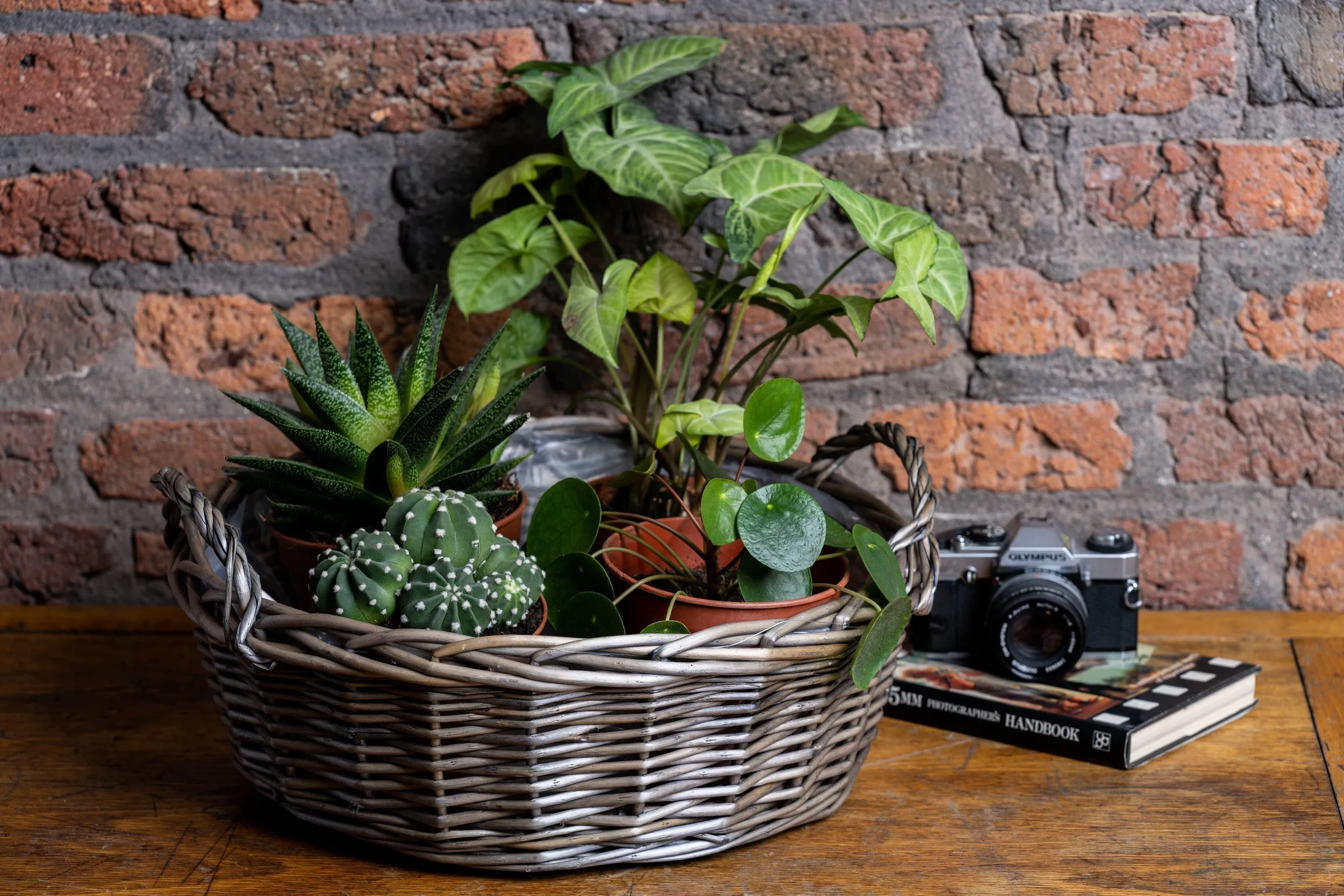 Round Antique Wash Wicker Planter with Handles
