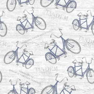 Tim Coffey - Tandem Journey - Blue Bicycle Fabric