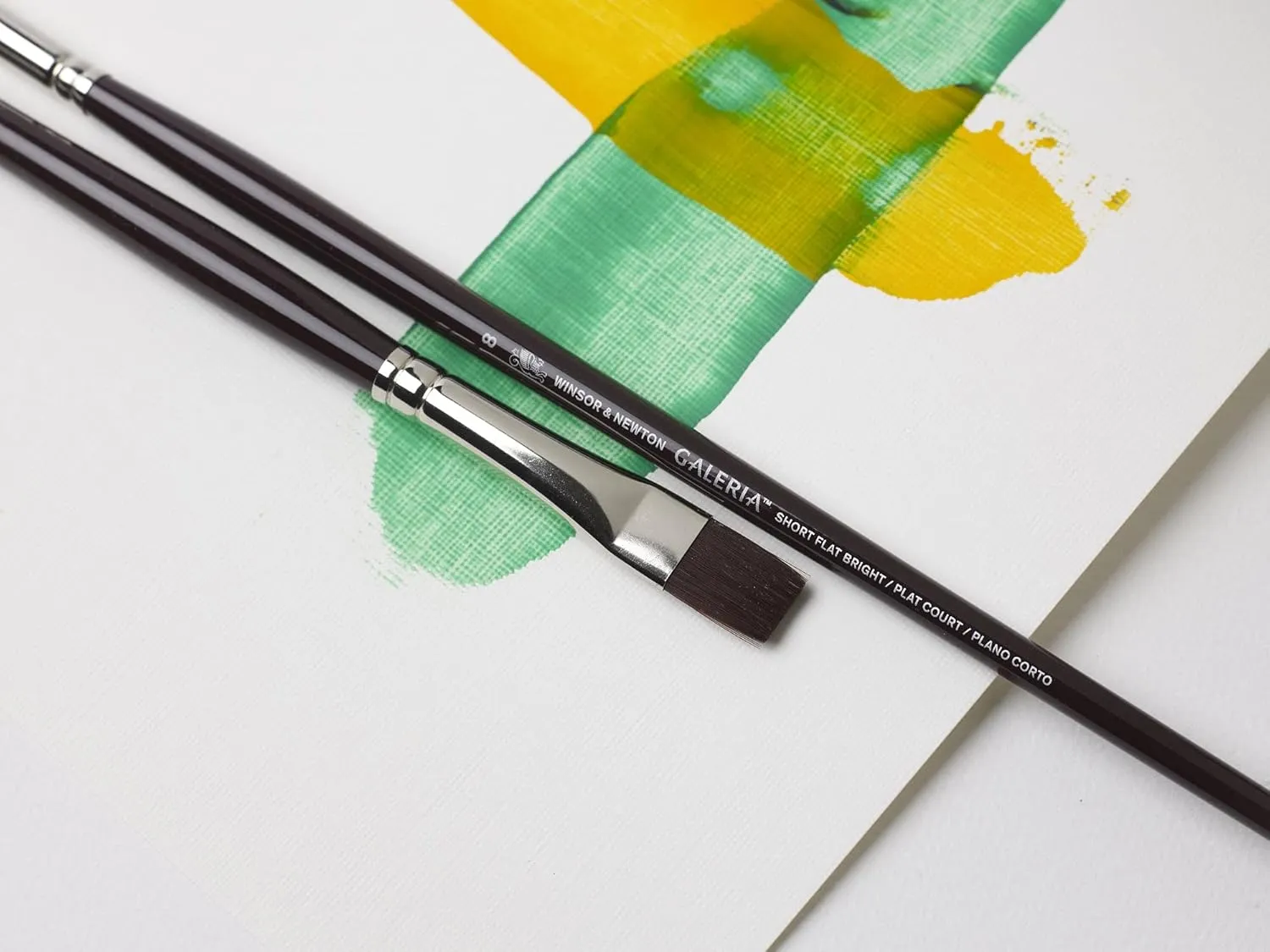Winsor & Newton Galeria Acrylic Brush Pack, Long Handle, 5 Pack