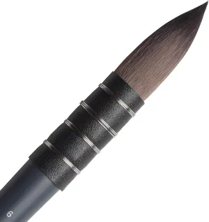 Winsor & Newton Professional Watercolour Synthetic Squirrel Quill Brush, Size 6